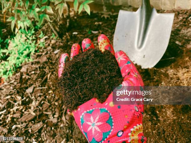 woman in garden holds handful of soil - mulch stock-fotos und bilder
