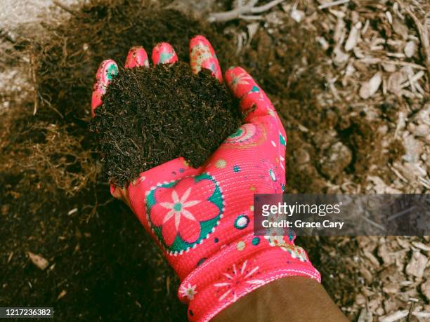 woman in garden holds handful of soil - black glove stock pictures, royalty-free photos & images