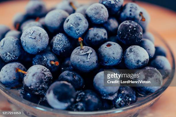 sloe berries in a bowl - frozen berries stock pictures, royalty-free photos & images