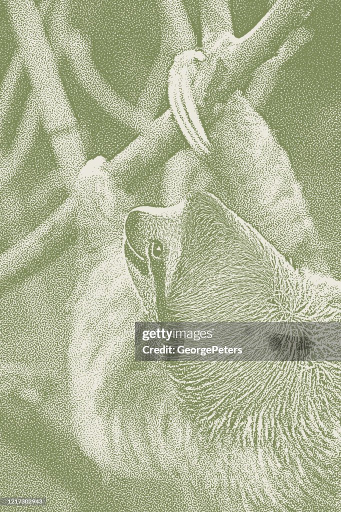 Stipple illustration of a Happy Sloth