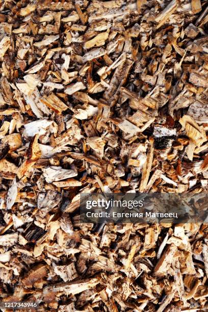 abstract wood shavings, chips and sawdust natural background texture. close up. top view. copy space - slab sawing stock pictures, royalty-free photos & images