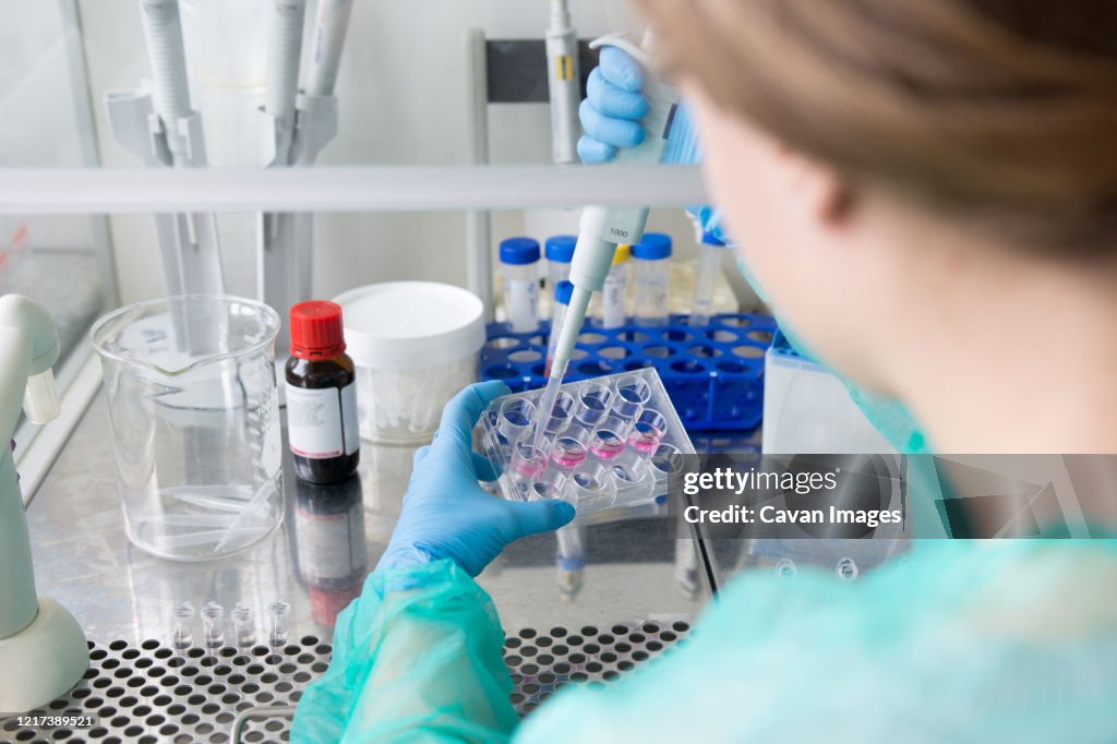 Researchers In The Medical Laboratory Process The Samples For Vi High ...