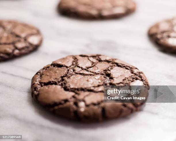 salted chocolate brownie crinkle cookies - brownie stockfoto's en -beelden