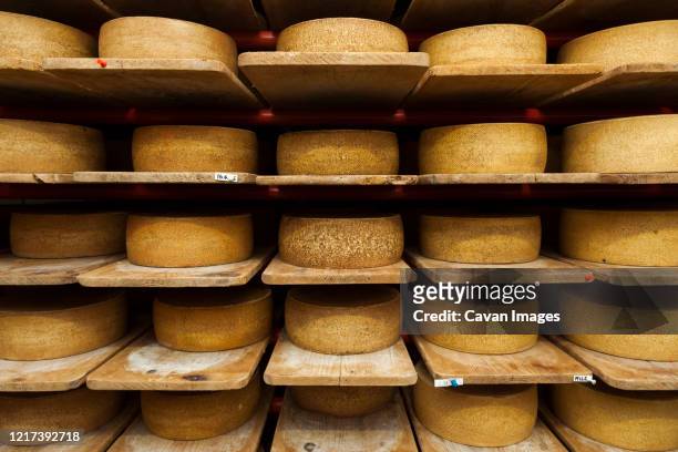 wheels of raw cow milk cheese age at creamery in hinwil, switzerland - parmesan stock-fotos und bilder