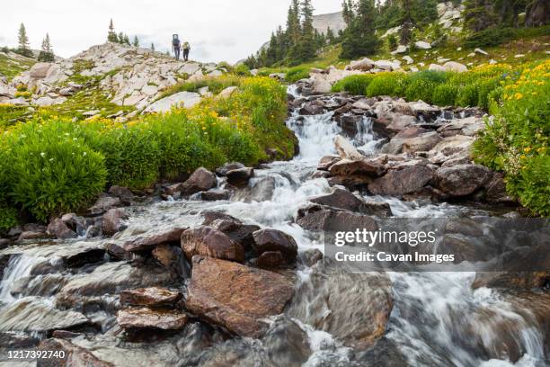 hikers pass cascade near pierre lakes, elk mountains, colorado - white river national forest stock-fotos und bilder