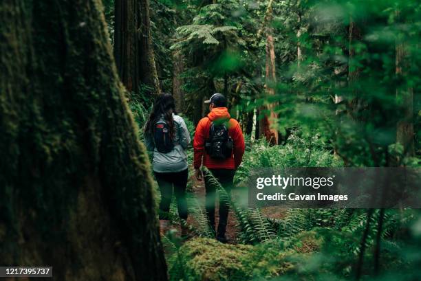 a young couple enjoys a hike on a trail in the pacific northwest. - oregon wilderness stock pictures, royalty-free photos & images