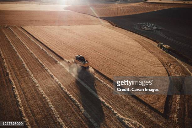 combine  harvester working at sunset from aerial view. - champs tracteur photos et images de collection
