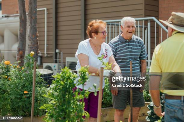 a friendly conversation - community garden stock pictures, royalty-free photos & images
