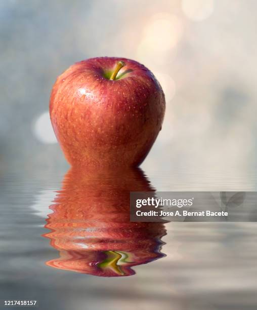 red apple on a water surface illuminated by sunlight. - apple water splashing stock pictures, royalty-free photos & images