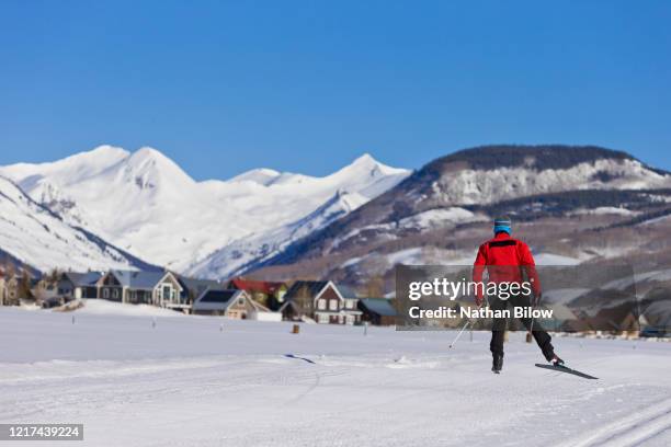 2,550 Aspen Spring Stock Photos, High-Res Pictures, and Images - Getty ...