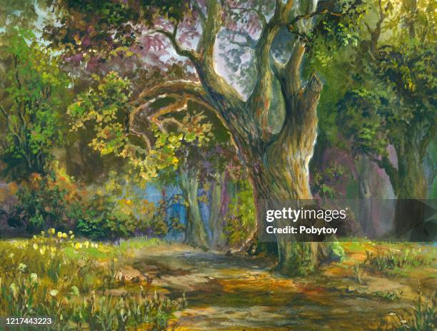 fairytale oak - fairytale background stock illustrations