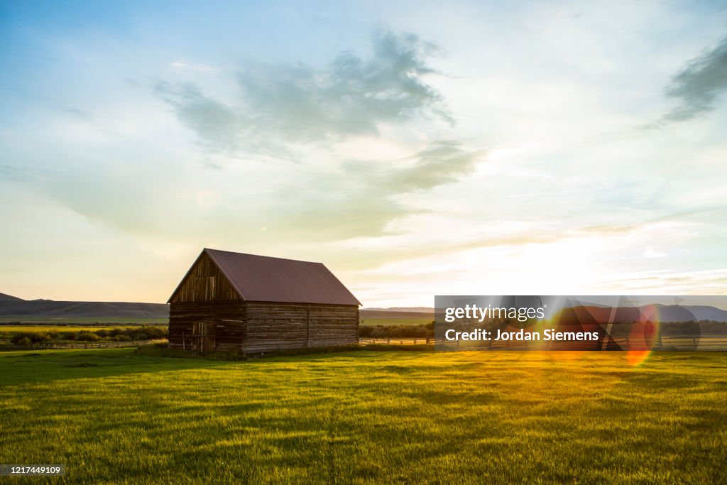 A lone barn in a field in Montana.