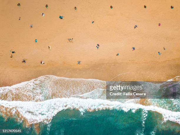 aerial view of people social distancing at the beach - coronavirus travel stock pictures, royalty-free photos & images