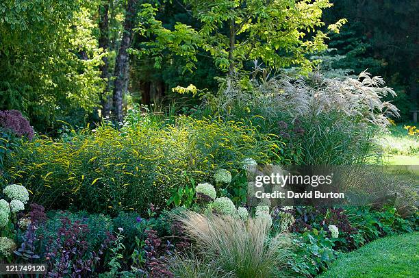 late summer border with mixed shrubs and perennials, september - september stock pictures, royalty-free photos & images