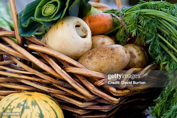 freshly harvested organic produce, september - homegrown produce ストックフォトと画像