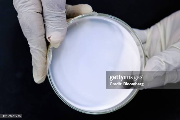 An employee handles a tin of latex in a research laboratory at the Karex Bhd. Facility in Port Klang, Selangor, Malaysia, on Wednesday, June 3, 2020....