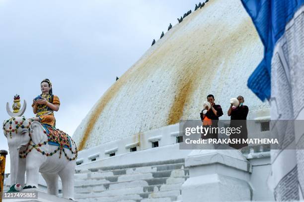 204 Monk Conch Shell Stock Photos, High-Res Pictures, and Images ...