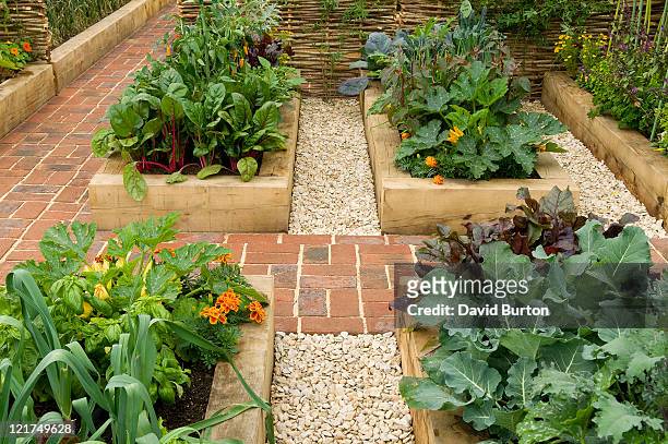 raised beds in potager garden - orto foto e immagini stock