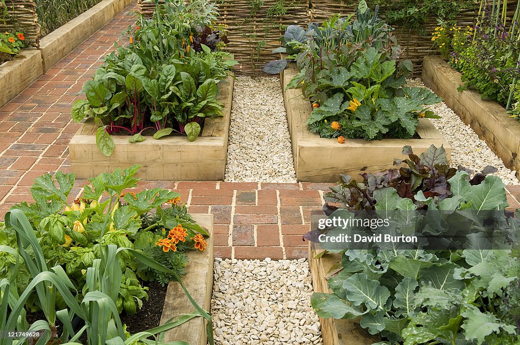 Raised beds in potager garden