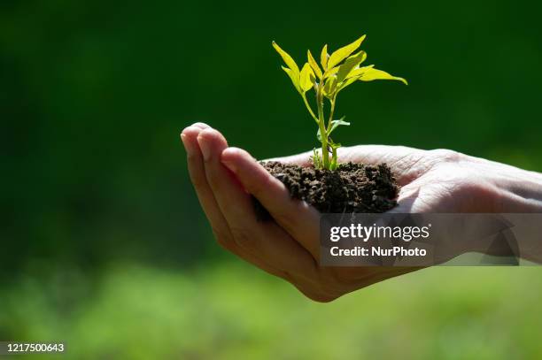 9,656 World Environment Day Photos and Premium High Res Pictures - Getty Images 9,656 World Environment Day Photos and Premium High Res Pictures - Getty Images