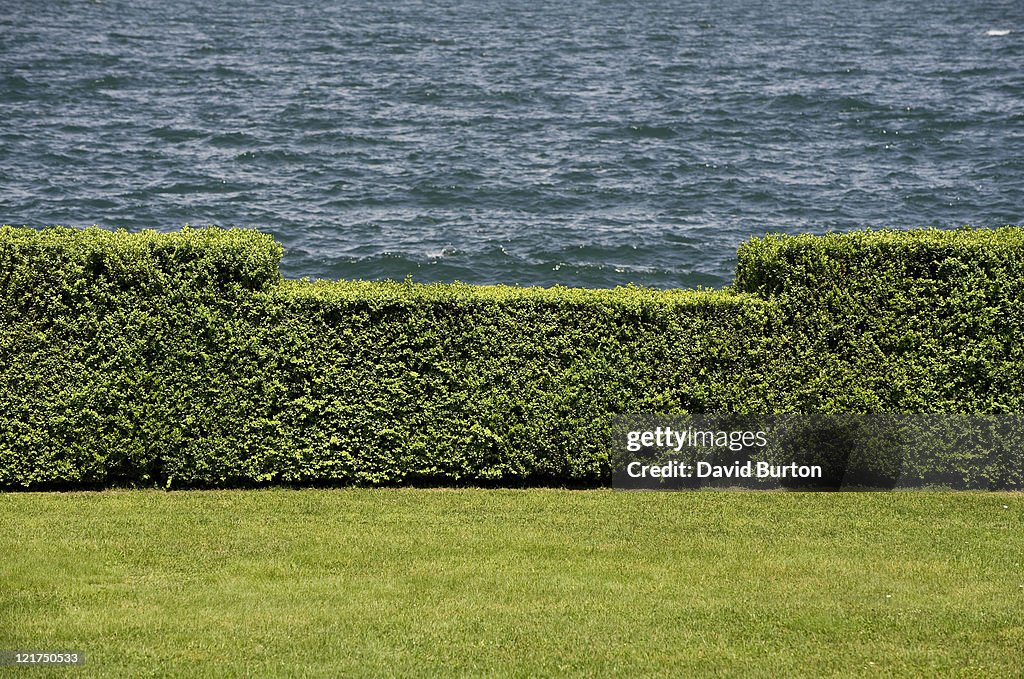 Clipped box (Buxus) hedge at waters' edge