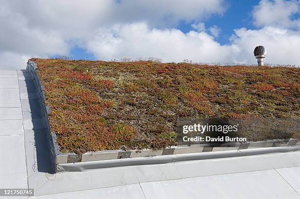 ecological architecture of living roof which provides natural insulation - sedum stock-fotos und bilder