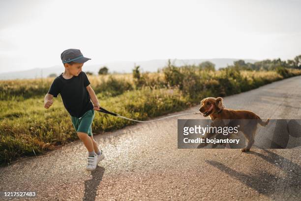 gemeinsam laufen - boy running with dog stock-fotos und bilder