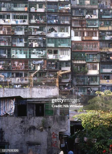 Slum apartment buildings in Kowloon Walled City where 50,000 inhabitants lived in 6.5 acres ruled by triads. The area was demolished in 1995;