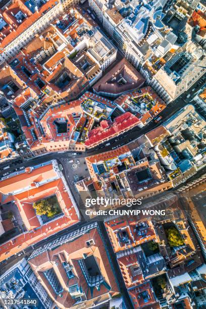 the view on the city and the roofs of houses in vienna - apartment cross section stock pictures, royalty-free photos & images