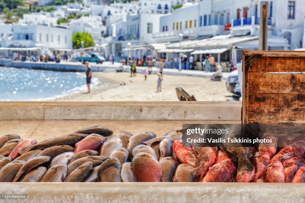 Selling fish at Mykonos
