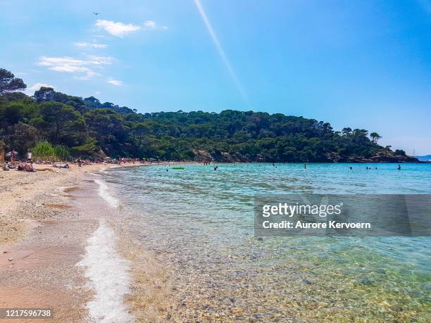 porquerolles islands in south of france - porquerolles stock pictures, royalty-free photos & images