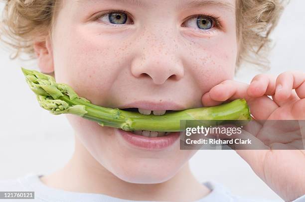boy biting asparagus (asparagus officinalis) - biting ストックフォトと画像