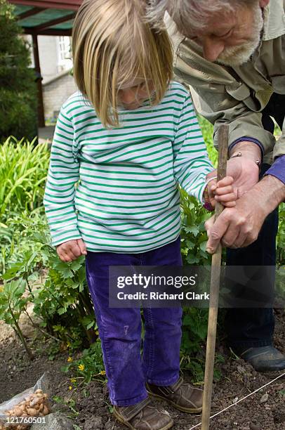 man showing young girl how to make holes for seed planting (part of series) - stick plant part stock pictures, royalty-free photos & images