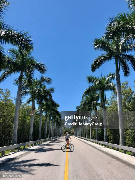 mädchen radelt durch palmen allee in florida - vero beach stock-fotos und bilder