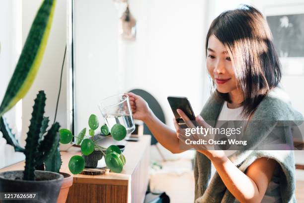 young woman using mobile phone while watering plants at home - afazeres domésticos - fotografias e filmes do acervo