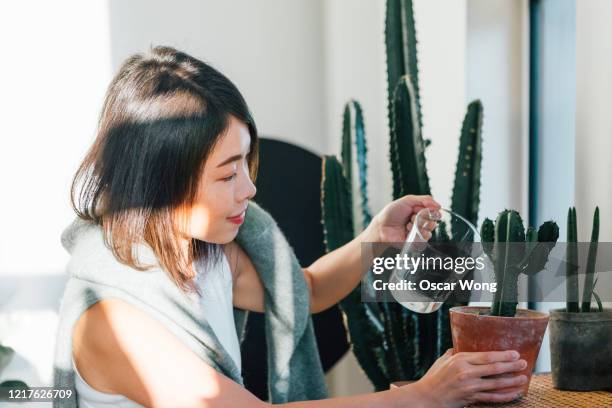 side profile of smiling woman watering potted plant at home - frau schön kaktus stock-fotos und bilder