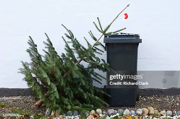 throwing out christmas tree - broken christmas bauble stock pictures, royalty-free photos & images