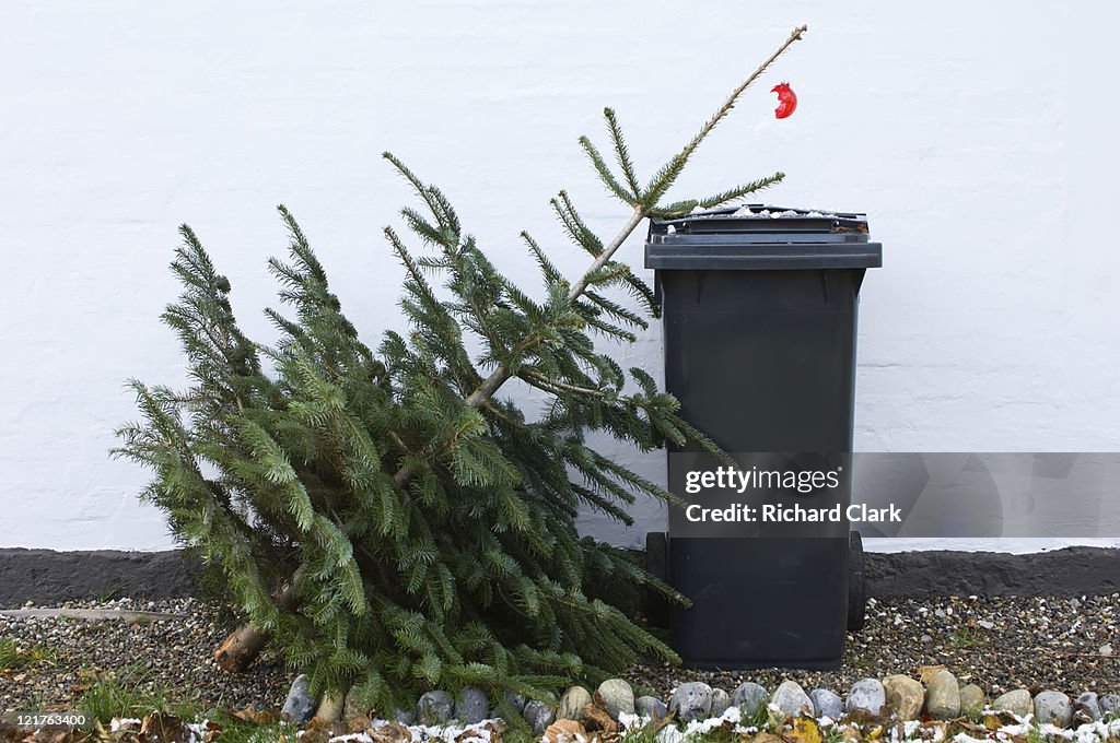 Throwing out christmas tree