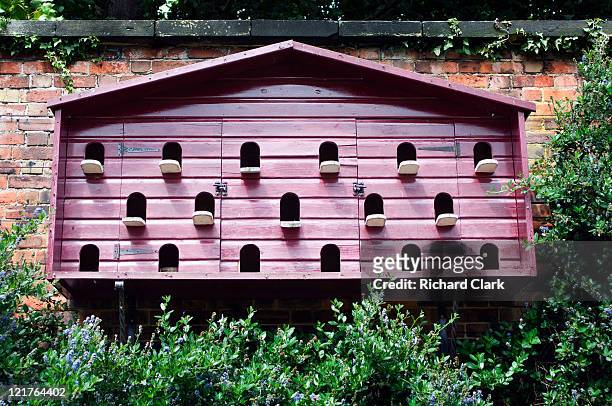 large wall-mounted birdhouse, june - birdhouse stock pictures, royalty-free photos & images