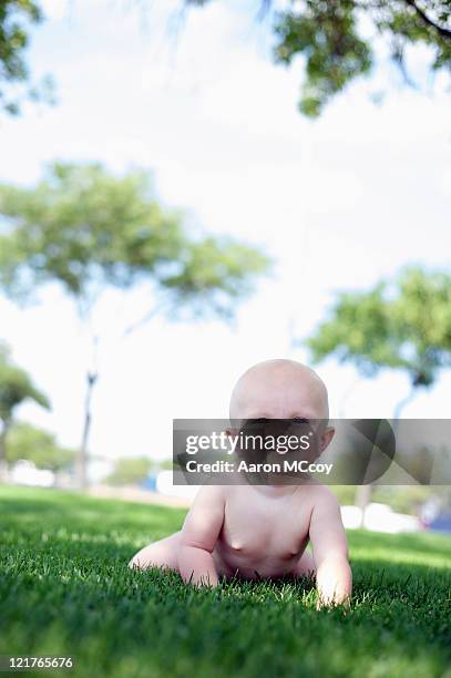 baby (9 months old) exploring the garden, august. - camminare a gattoni foto e immagini stock