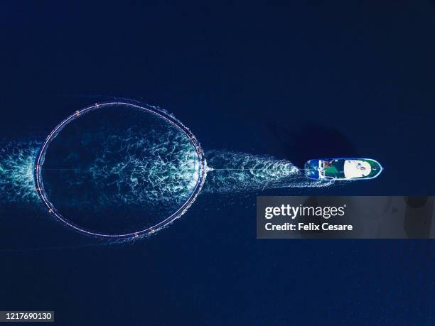 aerial view of a fish farm cage being towed by a fishing boat. - bateau de pêche photos et images de collection