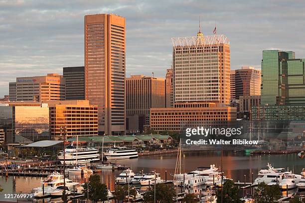skyline from federal hill at dawn, baltimore, maryland, usa - baltimore maryland daytime stock pictures, royalty-free photos & images