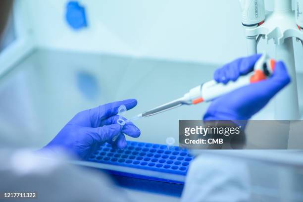 genetic test - coronavirus laboratory stock pictures, royalty-free photos & images