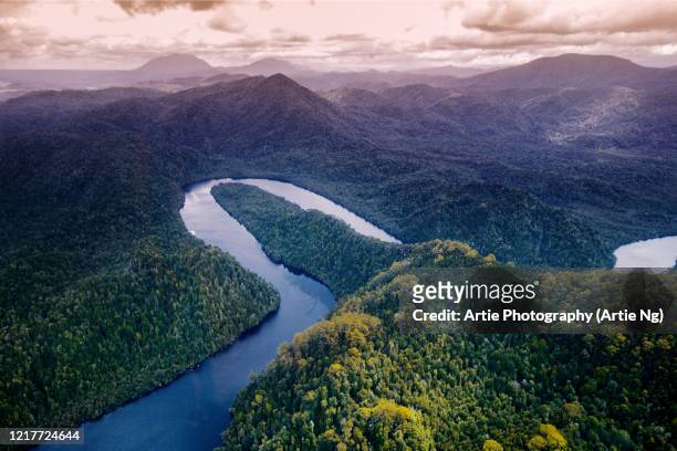 aerial view of the gordon river, franklin-gordon wild rivers national park, western tasmania, australia - tasmania landscape stock-fotos und bilder