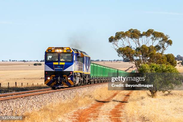bowmans rail ore train with green containers & tree frame - adelaide train stock pictures, royalty-free photos & images
