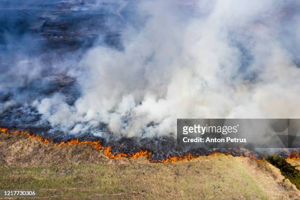 aerial view of wildfire on the field. huge clouds of smoke - destruction foto e immagini stock