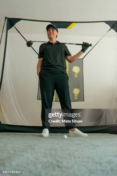 home golfer - mats silvan stock pictures, royalty-free photos & images