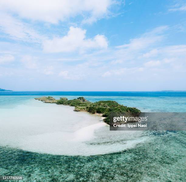 secluded tropical island in coral reef lagoon, okinawa, japan - île d'iriomote photos et images de collection