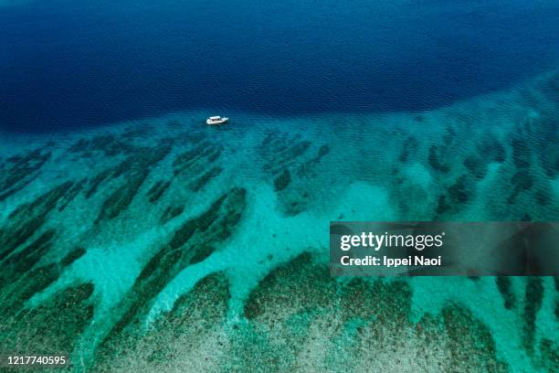 coral reef with blue tropical water and boat from above, okinawa, japan - insel iriomote stock-fotos und bilder