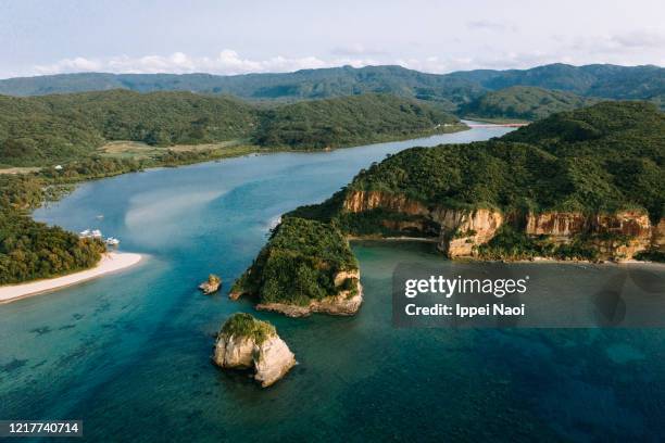 mangrove river mouth and jungle from above, iriomote island, okinawa, japan - insel iriomote stock-fotos und bilder